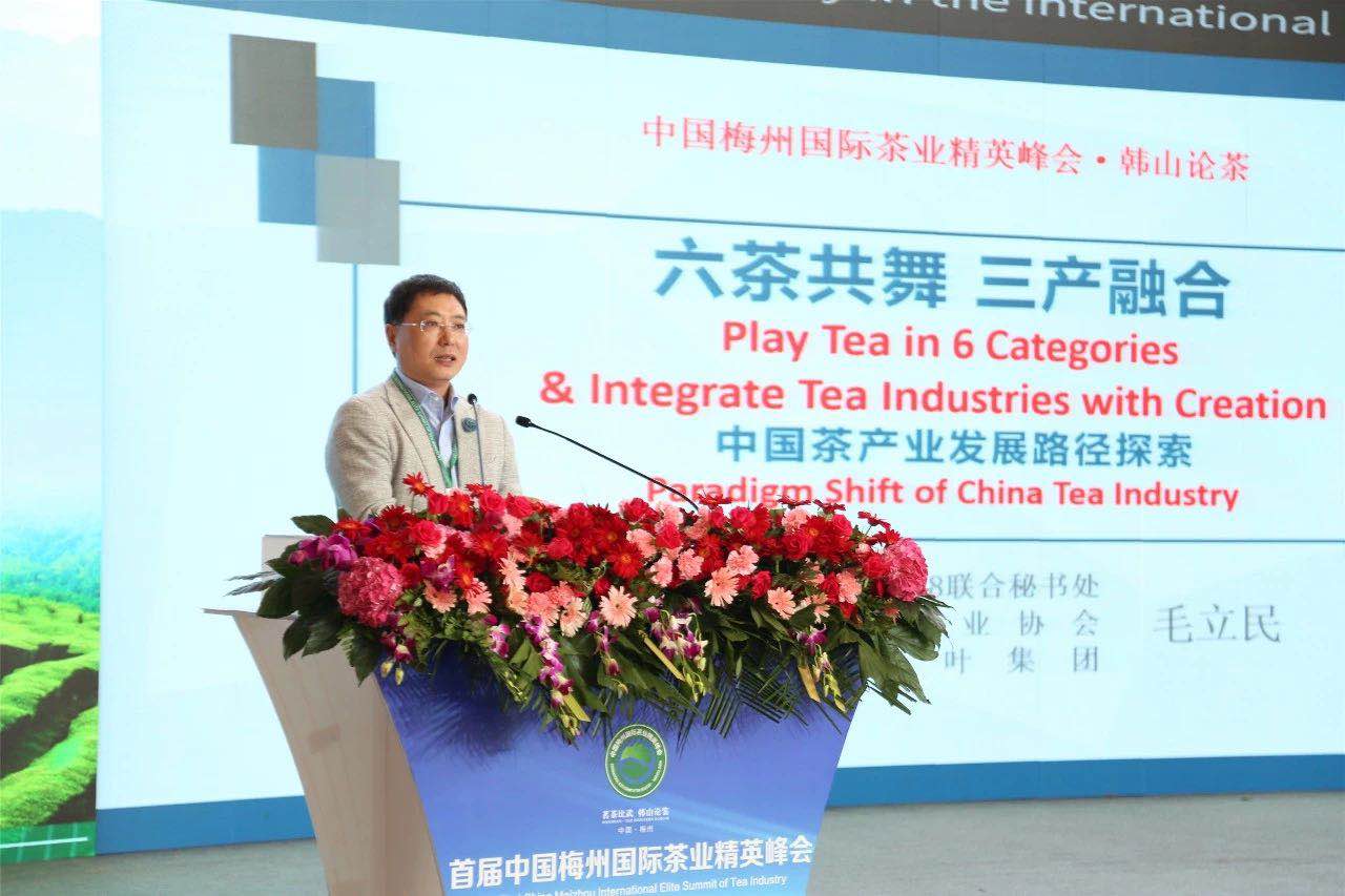 首届中国梅州国际茶业精英峰会举行 千亿体育登录入口代表分享前沿观点